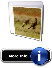 Danita Delimont Kangaroos Eastern Grey Kangaroos, Queensland. AUSTRALIAAU01 POX0196 Pete Oxford 6 Greeting Cards with envelopes gc_72772_1 Standards